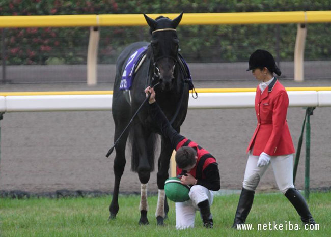 ?pid=column_img&id=39807