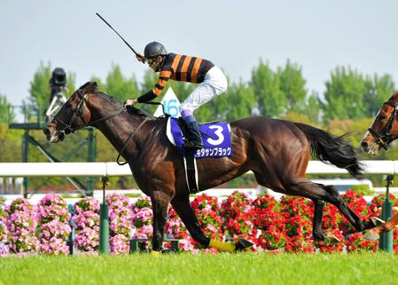 天皇賞・春】キタサンブラックが“進化と真価”を示した一戦 | 競馬