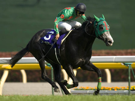 NHKマイルC、ジョーカプチーノVで238万馬券！ | 競馬ニュース - netkeiba