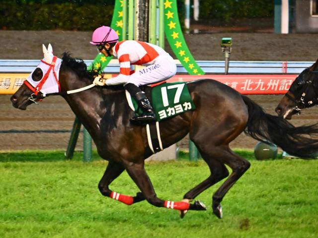 競馬 ヨカヨカ レインボーカード15枚限定 【公式通販】