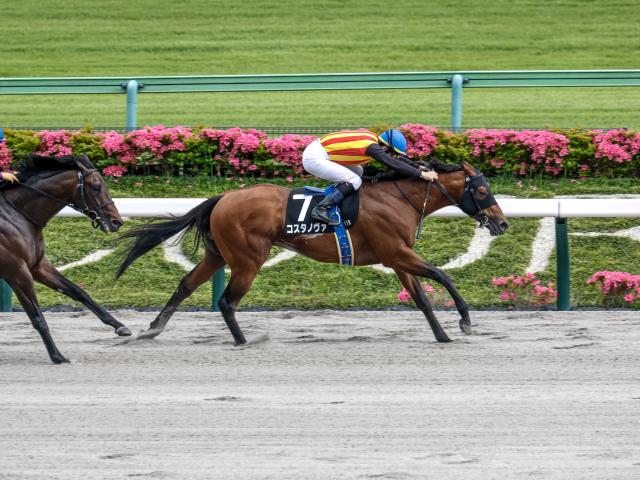 ドバイ・シーマC】イクイノックスが圧巻の逃げ切りでレコードV