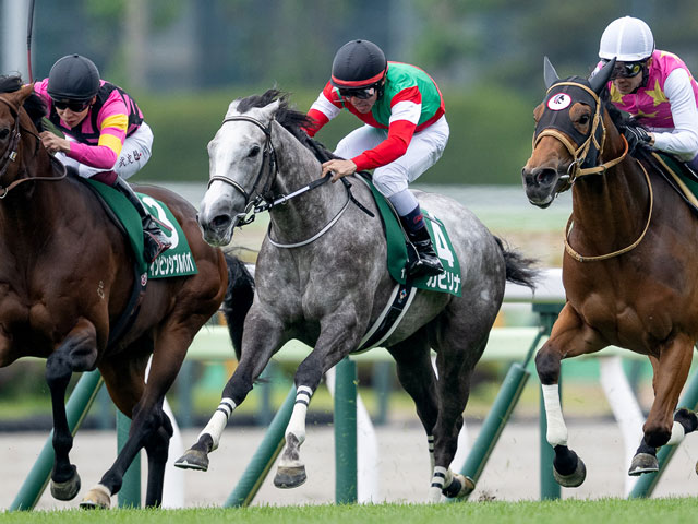 函館スプリントS(G3) 結果・払戻 | 2025年6月14日 函館11R レース情報