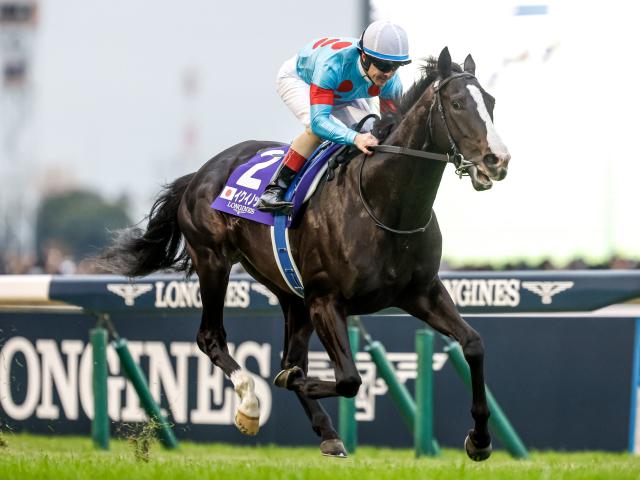 ジャパンカップ(G1) 結果・払戻 | 2023年11月26日 東京12R レース情報