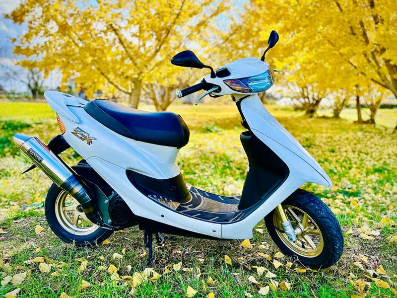 ライブディオZX、変化する。｜田なっくすのブログ｜田なっくすのページ