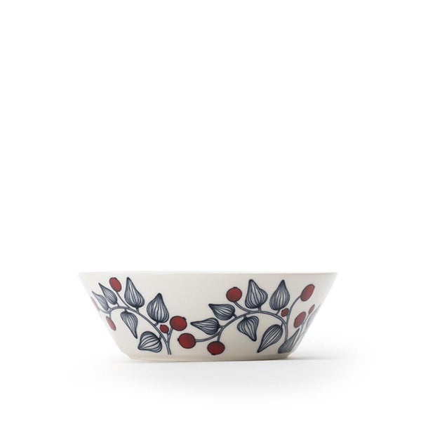 iittala | Alvar Aalto Collection ボウル プライウッド