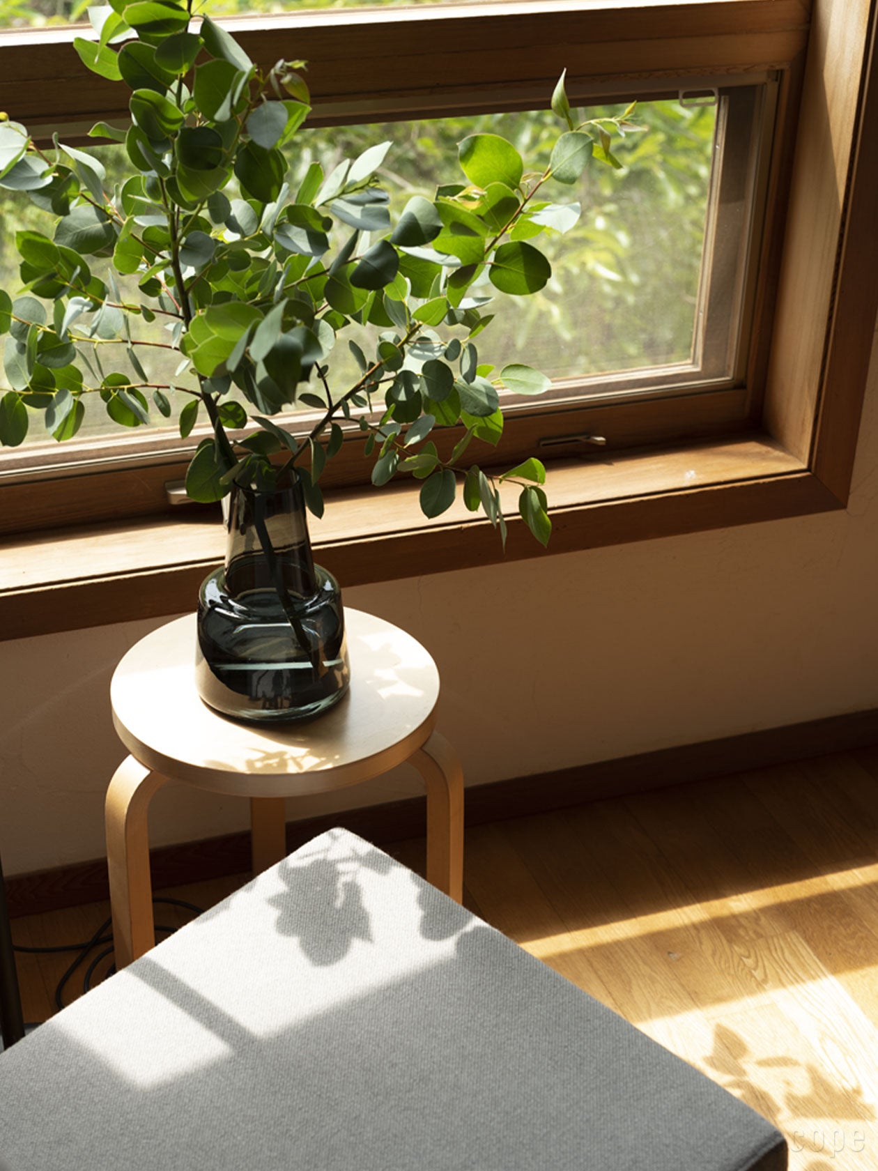 販売終了】Flora ベース