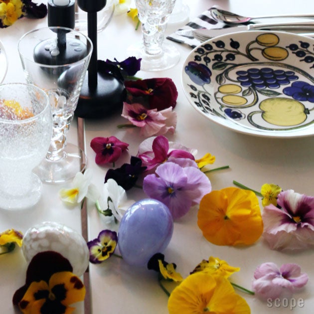 販売終了】iittala | Birds by Toikka Egg