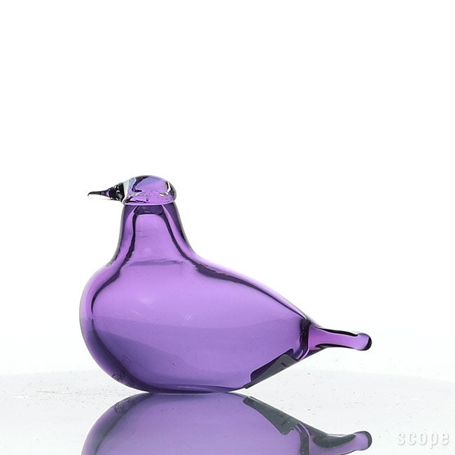 新品 イッタラ バード アメジスト Little Tern アメジスト iittala