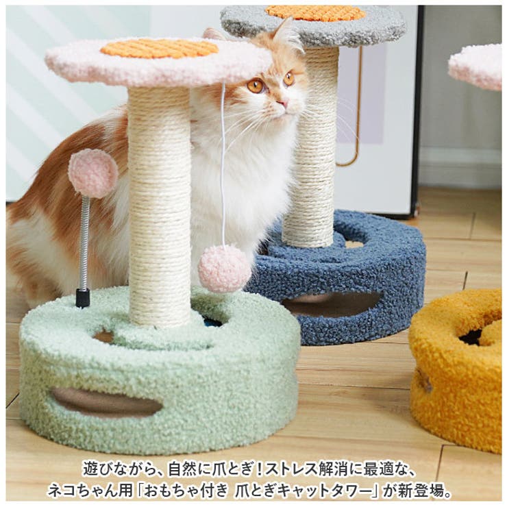 はち。様 アンバーフラワーカルサイト猫ちゃん♡No.1480 はち。様