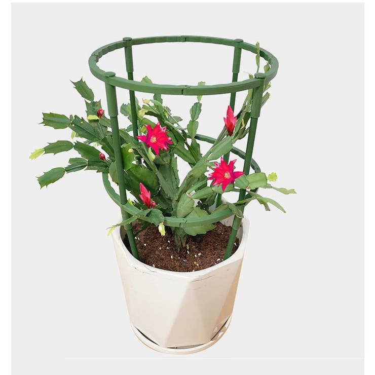 園芸支柱 4本セット 組み立て式[品番：FQ000215220]｜PlusNao