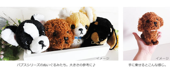 パピヨン/ビションフリーゼ/パグ /コーギー/シーズー/チワワ/トイ