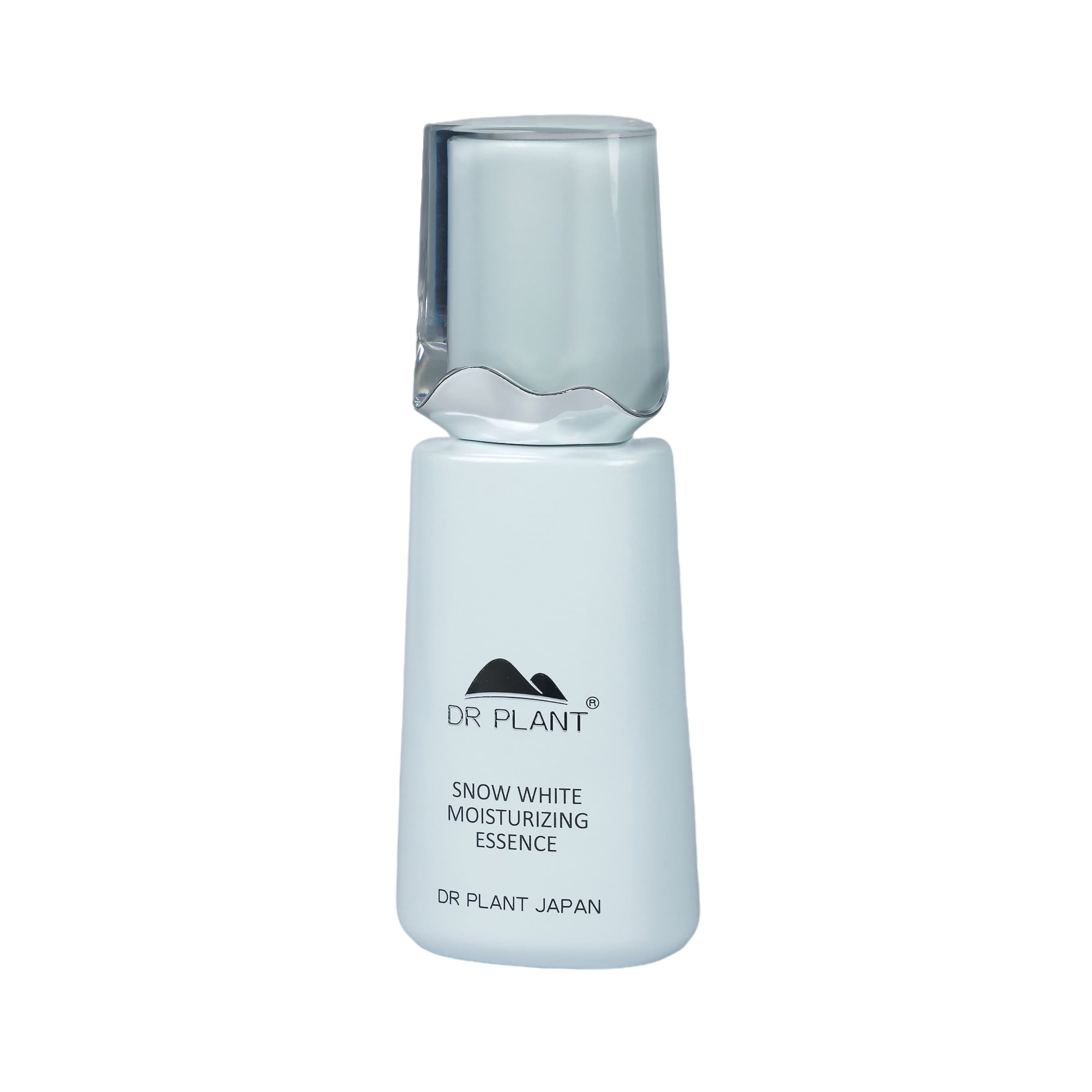 sl_03.jpg?v=1710235971