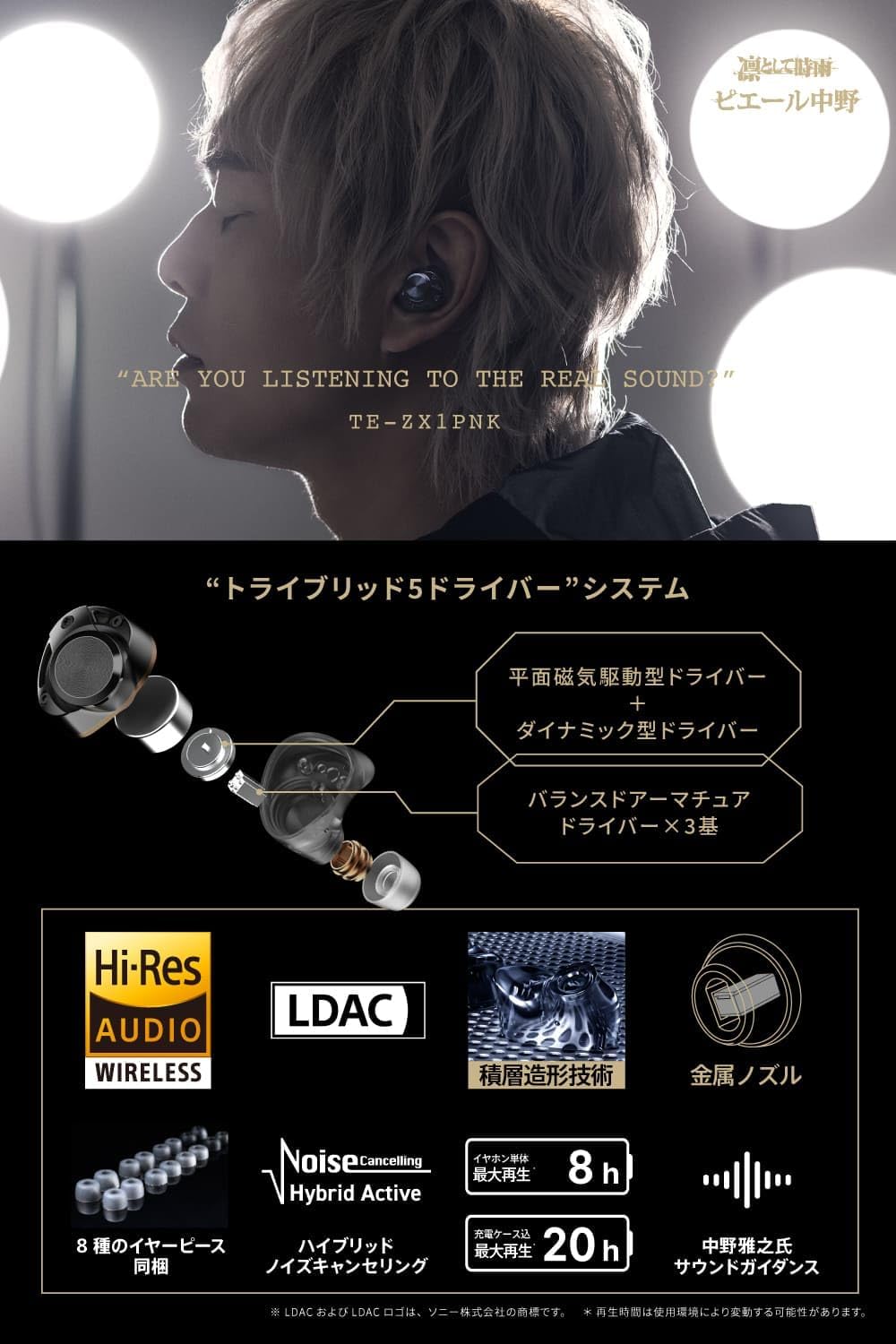 AVIOT TE-ZX1-PNK｜ピエール中野完全監修・トライブリッド5ドライバー