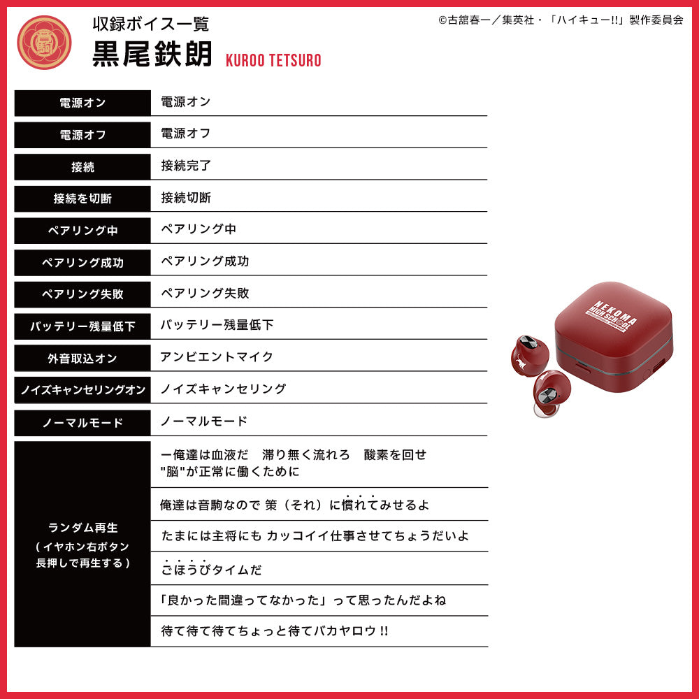 AVIOT TE-Q3-HK｜ハイキュー!!コラボ完全ワイヤレスイヤホン【公式】