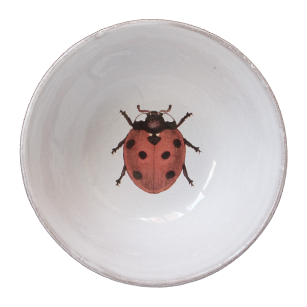 Ladybird_Bowl_ASCJHN1.png?v=