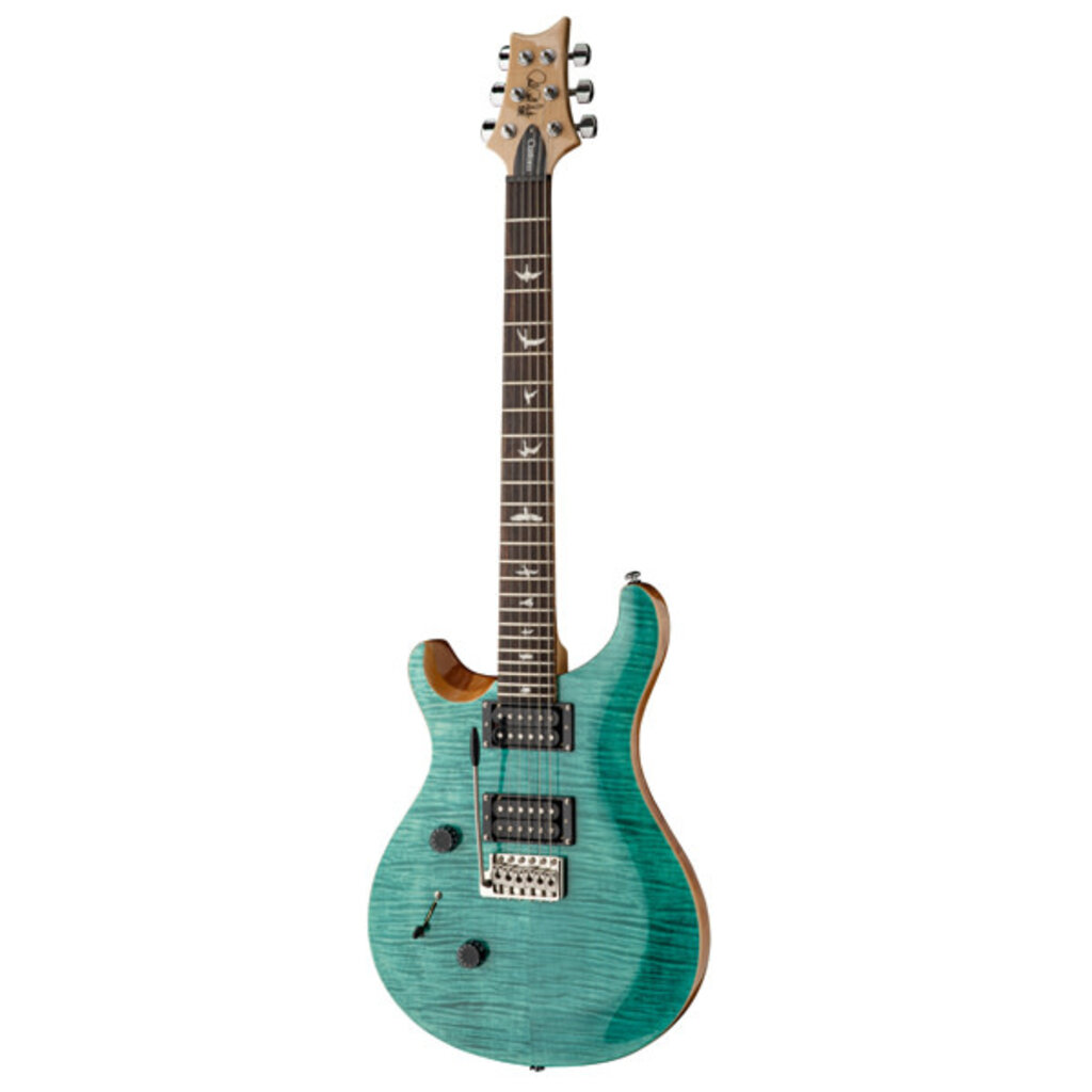 PRS SE Custom 24 