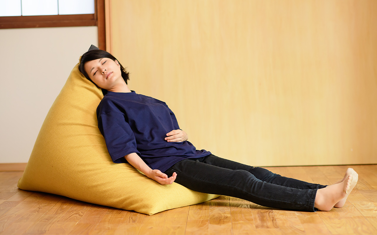 テトラ / LEON | ペットと一緒に使えるビーズクッション ソファ