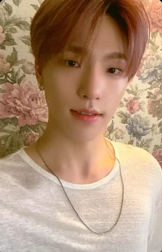 SEVENTEEN attacca CD トレカ　ディノ SEVENTEEN 9th mini album Attacca DINO ディノ トレカ 一覧 photocard