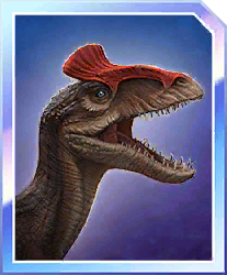 木*怪様 【恐竜キング】 クリオロフォサウルス シークレット 激ザン 第