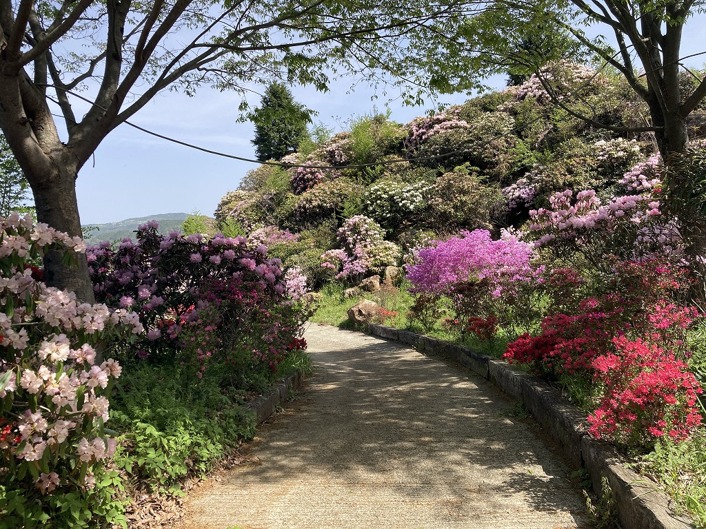 星の花公園 - 星野