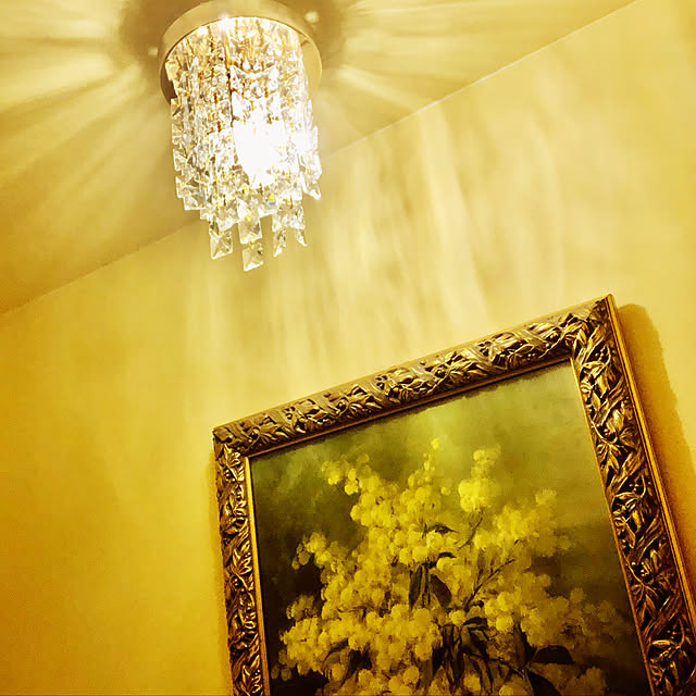 イタリア製 アートフレーム ヨーロッパ 幸せを呼ぶ 黄色の花 ミモザ 額