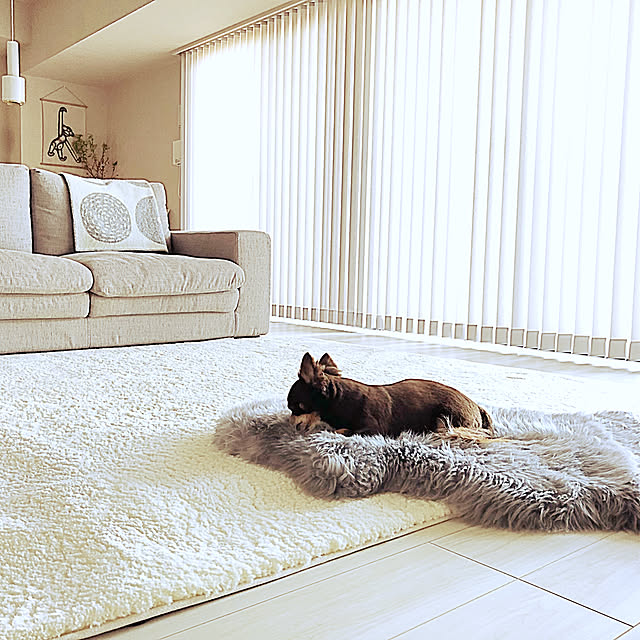 ムートンラグ ACTUS(アクタス)のおすすめ商品とおしゃれな実例