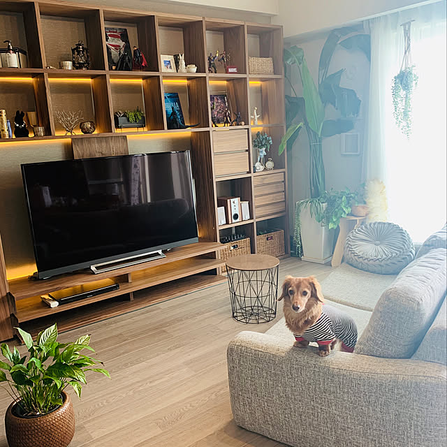 ニトリ テレビボード(コネクト165-5セット MBR) - 通販 | 家具と