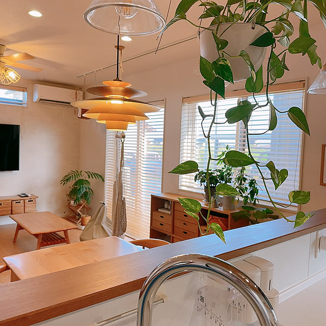 NORDEN ノルデン] ダイニング ペンダントライト 1灯 照明 北欧