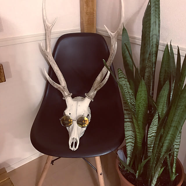 鹿の角 鹿の頭のおしゃれなアレンジ・飾り方のインテリア実例