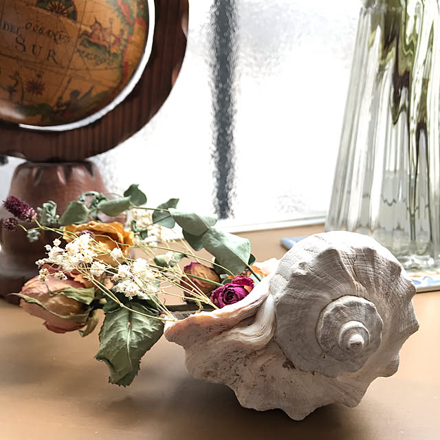 大きな貝殻のインテリア実例 ｜ RoomClip（ルームクリップ）