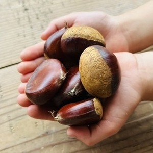 栗商品一覧 | 無添加・無農薬の食品ネット通販 - たべるとくらすと