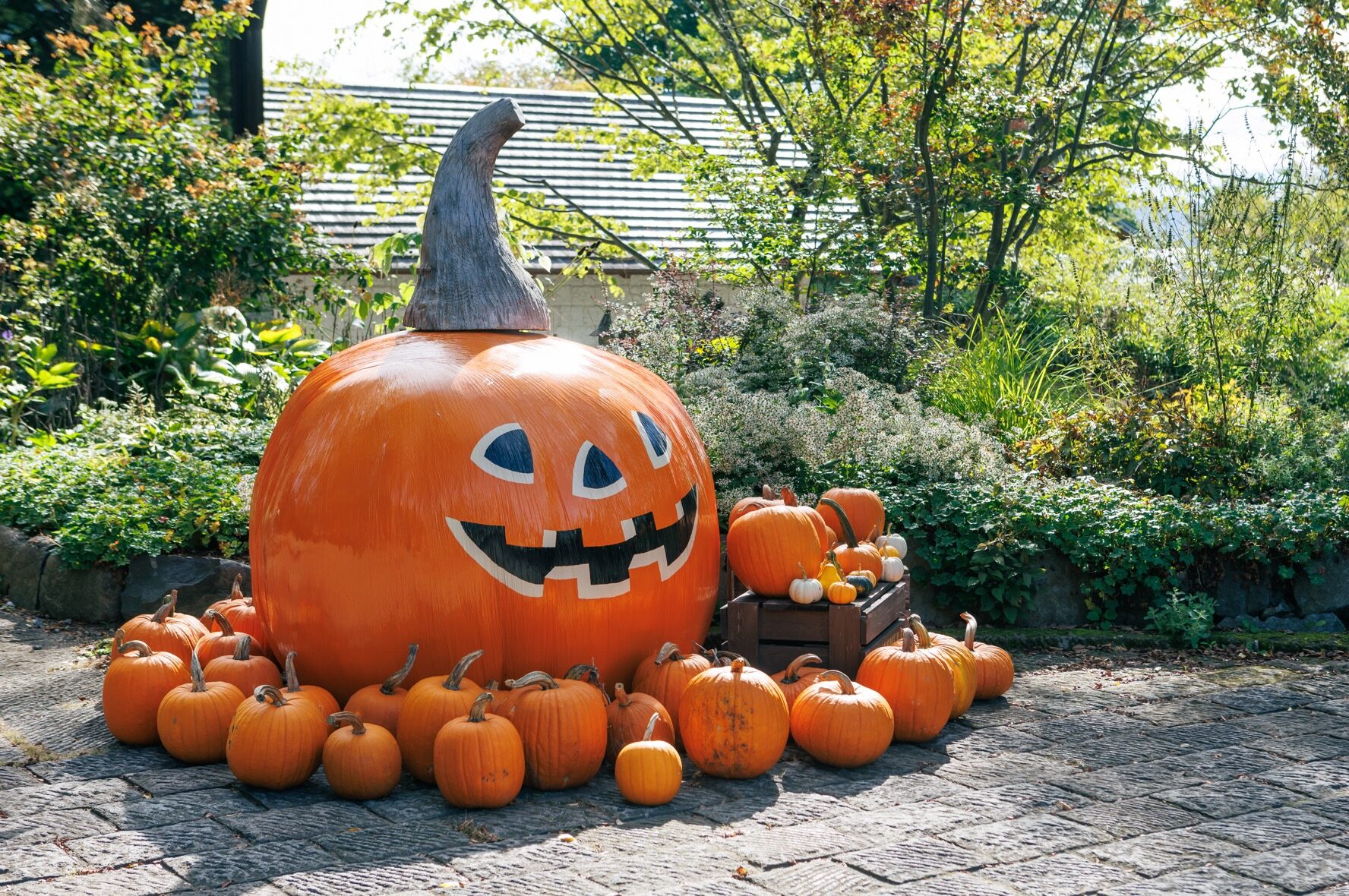 萌木の村ハロウィンマンス2025～魔女とカボチャのガーデンパーティー