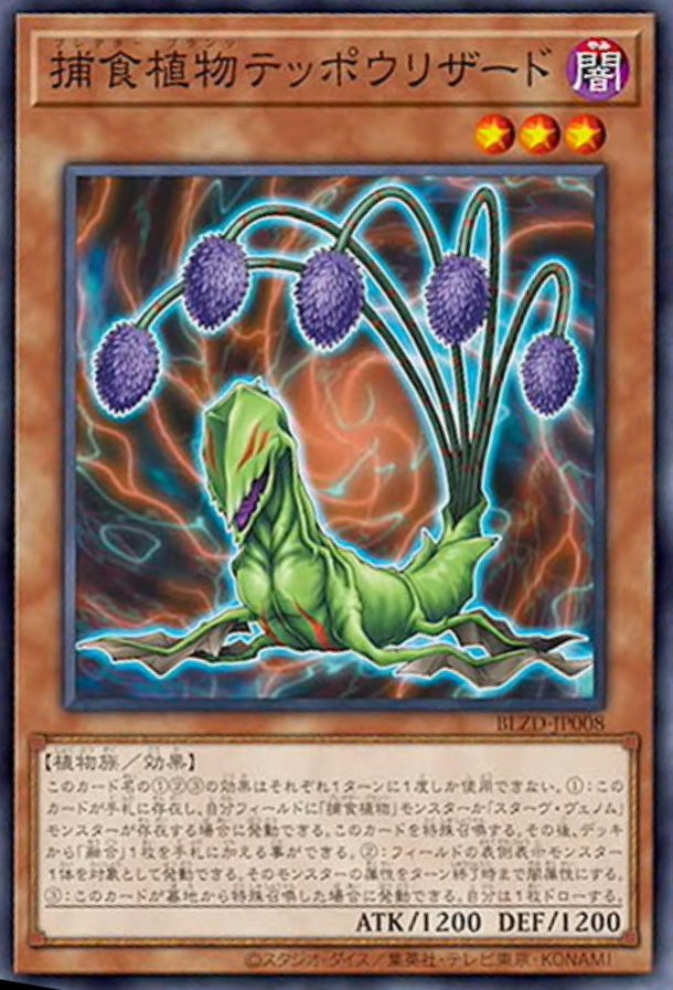 YGOrganization | Taking A Stroll Through A Botanical Garden With