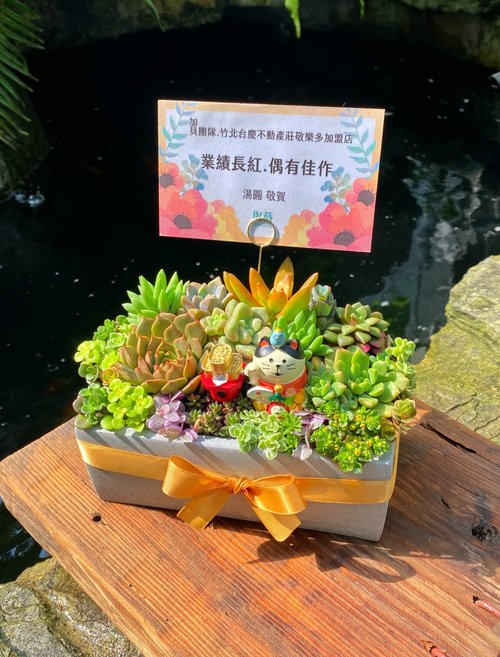 台湾 【お急ぎ便対応】多肉植物の寄せ植え｜無料メッセージカード
