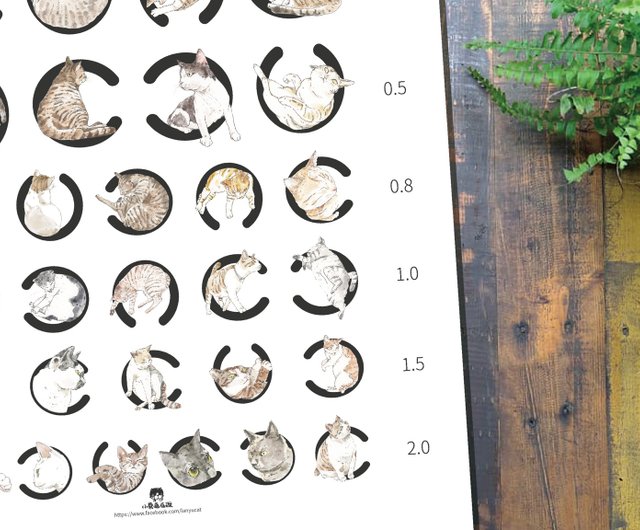 台湾 猫の視力検査表ポスター lanyucat - Pinkoi