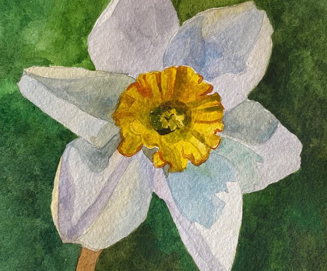 ロシア 咲く水仙オリジナル絵画水彩画アート植物アートワーク壁アート