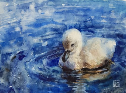 送料無料】ロシア 小さな白鳥 – アートワーク手描きの水彩画、紙に