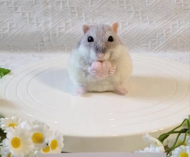 香港 【オーダーメイド羊毛フェルト】リアルハムスター Momofish