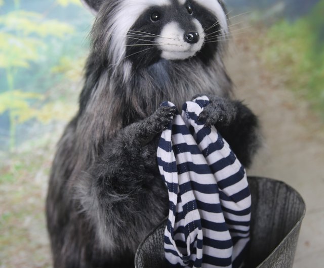 送料無料】ロシア アライグマのリアルなおもちゃ。ぬいぐるみ。ポーズ