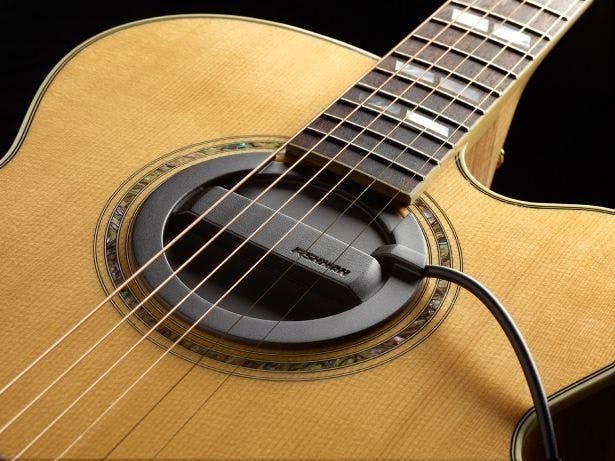 Fishman Neo-Buster Soundhole Pickup and Feedback Buster