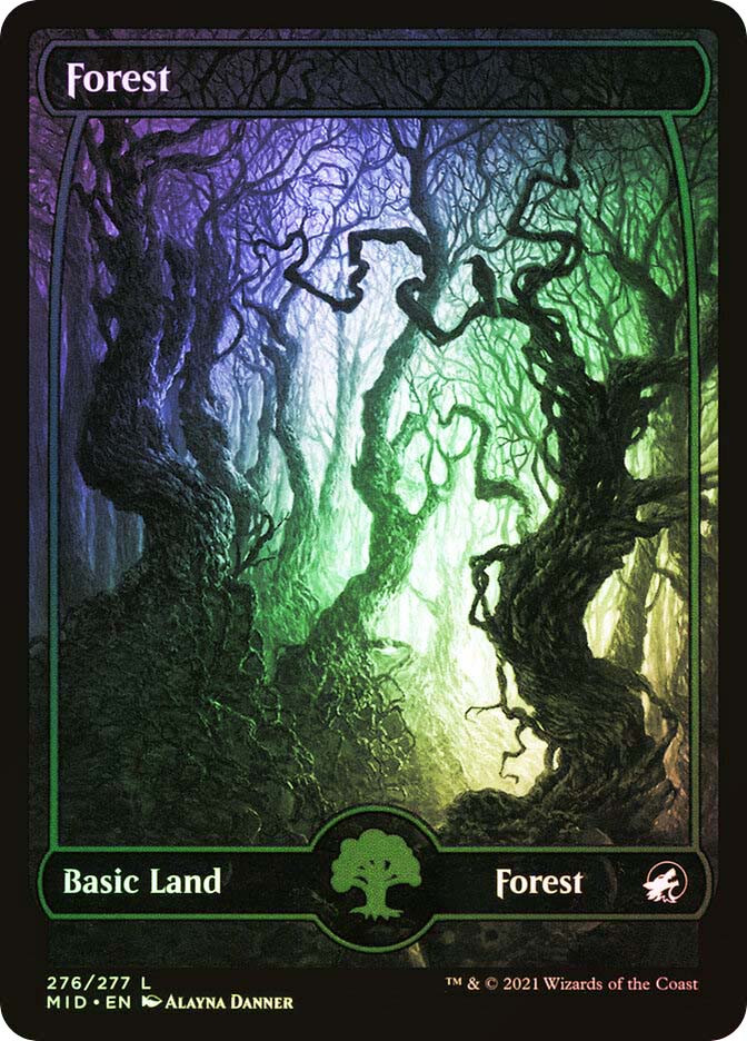 Forest (#276) | Innistrad: Midnight Hunt | Star City Games