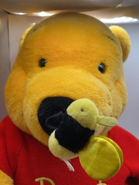 Disney(ディズニー) / キッズ他/YLW/くまのプーさん 特大ぬいぐるみ