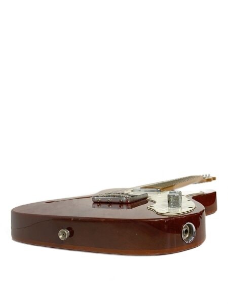 Fender Mexico(フェンダーメキシコ) / Classic 69 Telecaster Thinline