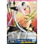 card-museum_srse25-025sp-sp