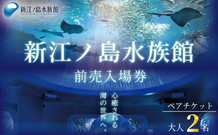新江ノ島水族館 前売入場券 大人2枚 / 水族館 チケット 観光 | 神奈川