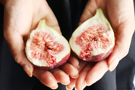 期間限定発送】 いちじく 桝井ドーフィン 約1.2kg (約300g×4パック