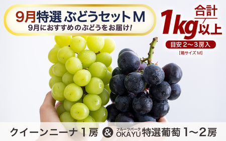 先行予約】9月特選 ぶどうセットM 1kg以上（2～3房）／ 葡萄 クイーン