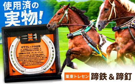 JRA/日本中央競馬会】競走馬が使用した蹄鉄と蹄釘のセット [BICB001