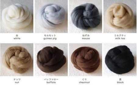 染TAKE 羊毛フェルト30g×8色「シンプル」 // フェルト フェルト8色