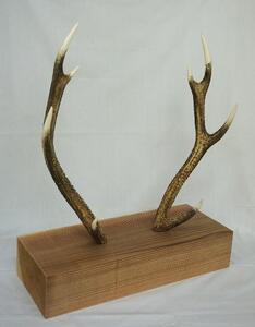 刀置き 「春日鹿角一双」 奈良の鹿 伝統工芸品 鹿角細工 職人 玄関